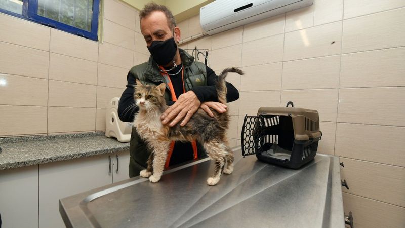 Depremzede kediyi Haluk Levent sahiplendi
