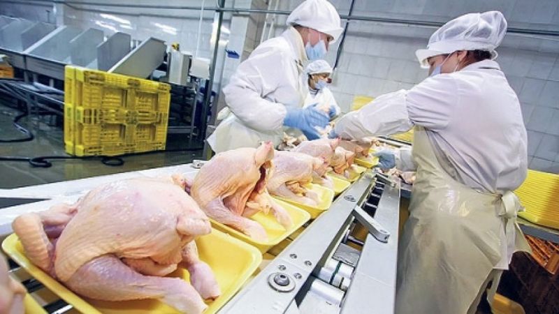 Suudi Arabistan, Türkiye’den hayvansal ürün ithalatını yasakladı