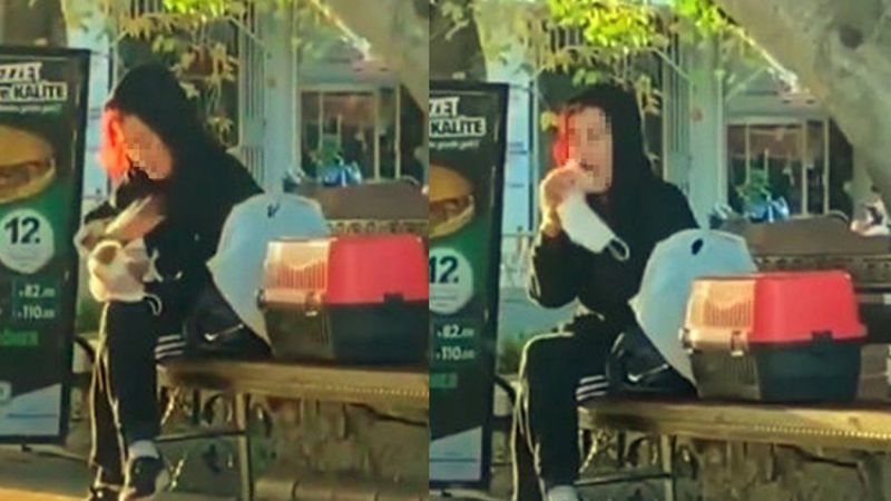 Antalya'da hamsterı tokatlayıp ısıran kadın