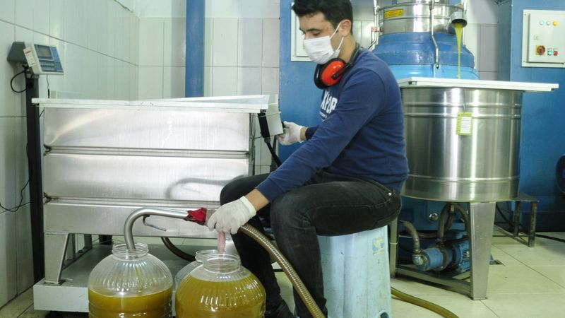 Ucuza satılan zeytinyağına dikkat