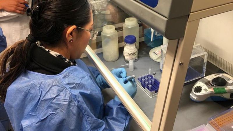 Chapare virüsü nedir, nasıl bulaşır? Bolivya'da görülen Chapare virüsü belirtileri nelerdir?