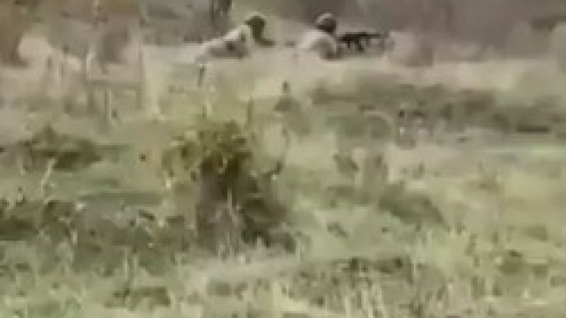 Yenilgiyi kabullenemeyen Ermeni askerleri, Rusları uğraştırıyor