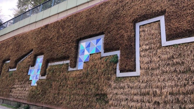 Balıkesir’in ‘dikey bahçe’ talebine İBB’den, ‘stres nedeniyle hayatını kaybettiler’ cevabı