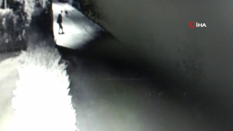 Uşak'ta sokak köpeğini öldüren doktor serbest kaldı