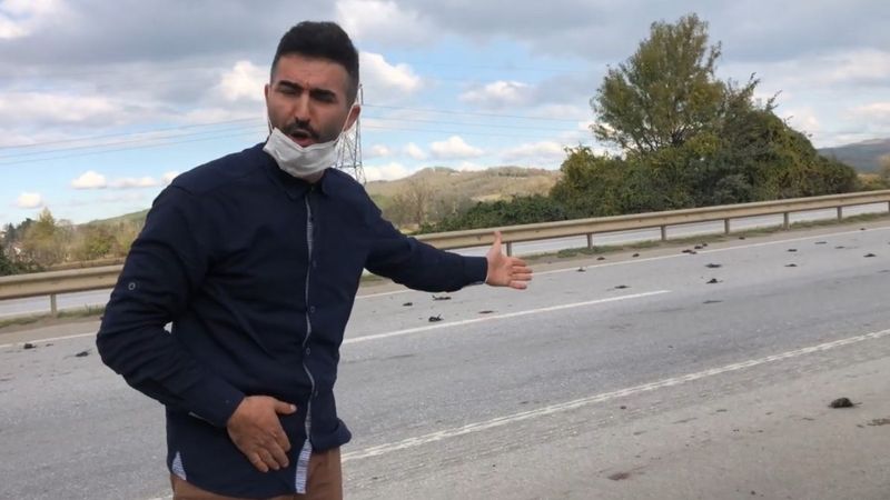 Sakarya'da D100 karayolundaki ölü sığırcık kuşları, görenleri şaşkına uğrattı