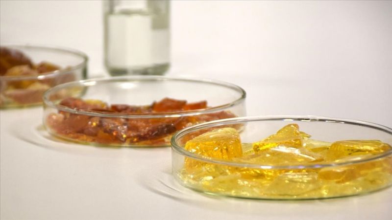 Reçinedeki dışa bağımlığı azaltacak proje geliştirildi