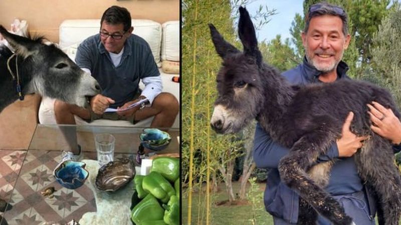 Cem Boyner'in sıpa sevinci