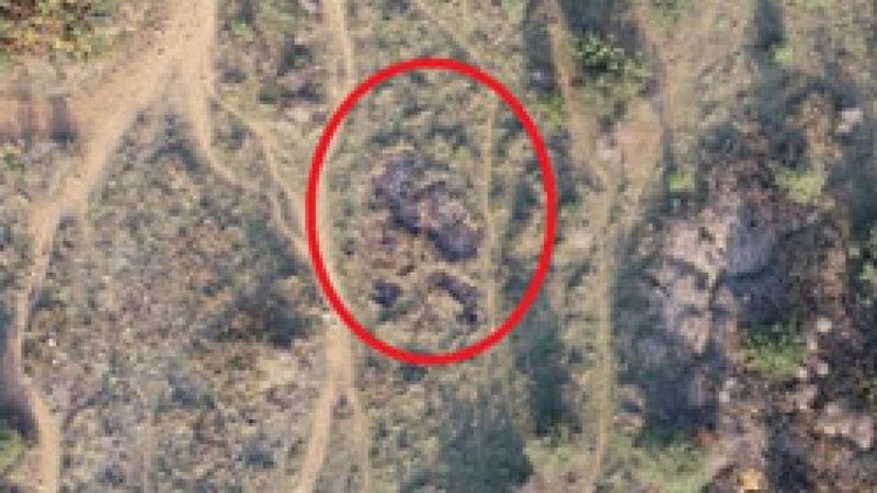 Bursa'da borç yüzünden öldürdükleri arkadaşlarını ormanda yaktılar