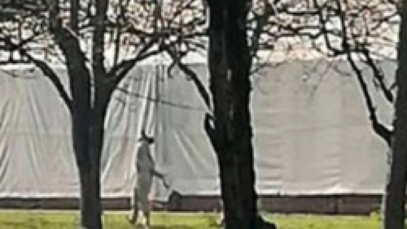 Kocaeli'de bir kişi, bağladığı köpeği ağaca astı