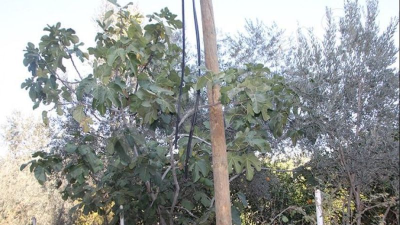 Zonguldak'ta kabloları çalan hırsızlar 20 köyü internetsiz bıraktı