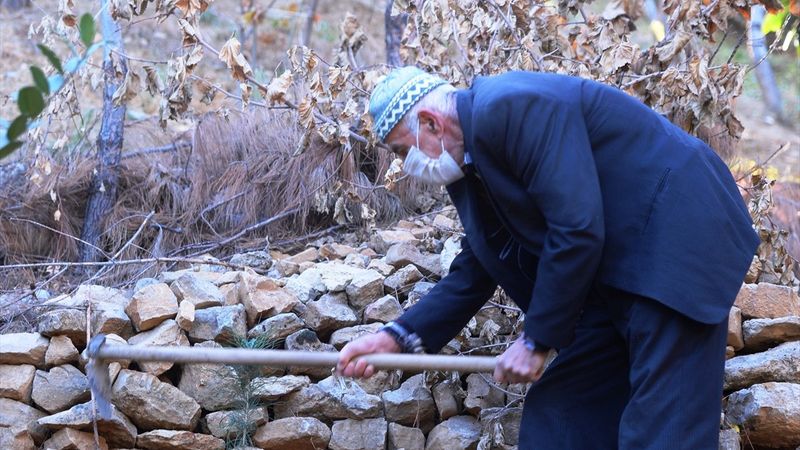 Mardinli Şeyhmus Amca, kendi çabasıyla orman oluşturdu