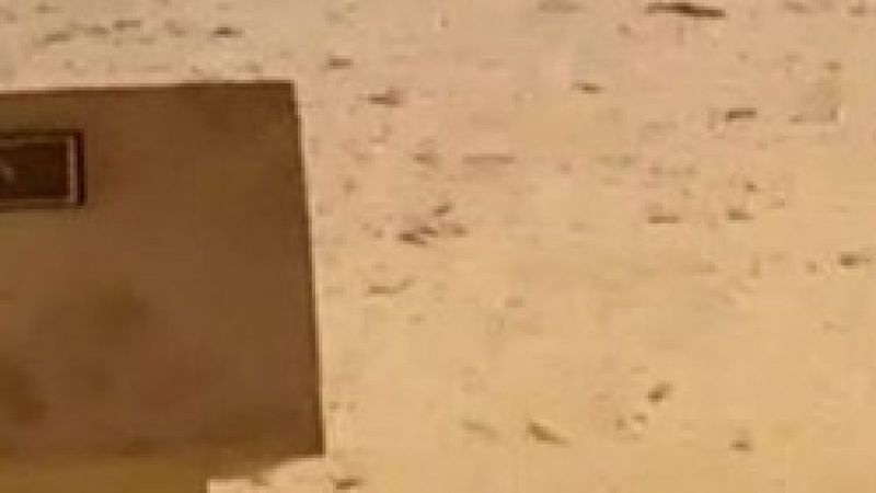 Çekirge sürüleri Mekke'yi istila etti