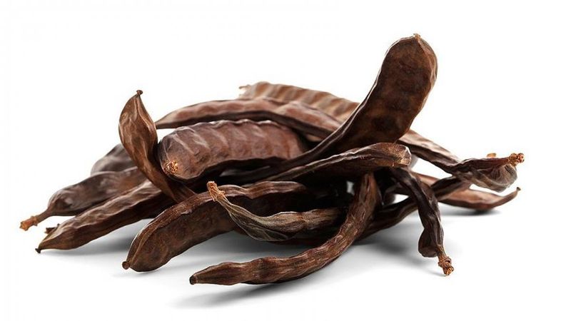 Keçiboynuzu üretimi için yatırım çağrısı yapıldı