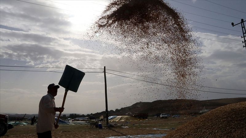 Çeltik ve pirinçte gümrük vergisi oranları düşürüldü