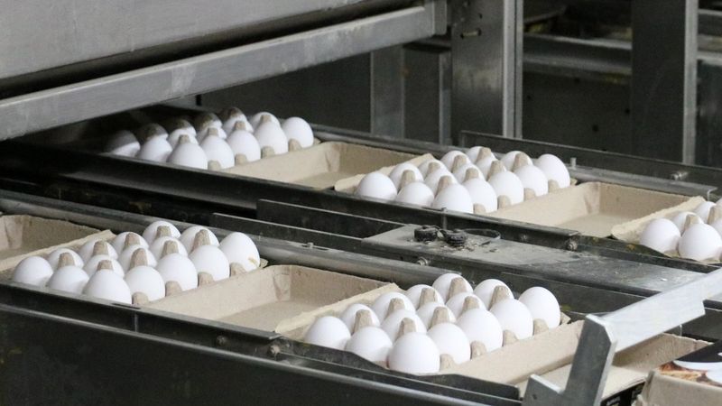 Yumurta üreticileri fahiş fiyattan aracıları sorumlu tutuyor