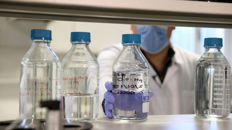 Türk araştırmacı, keçi sütünün koronavirüse karşı etkisi üzerinde çalışıyor