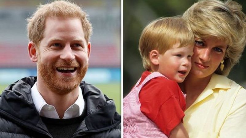 İngiltere Prensi Harry: Annemin oğluyum