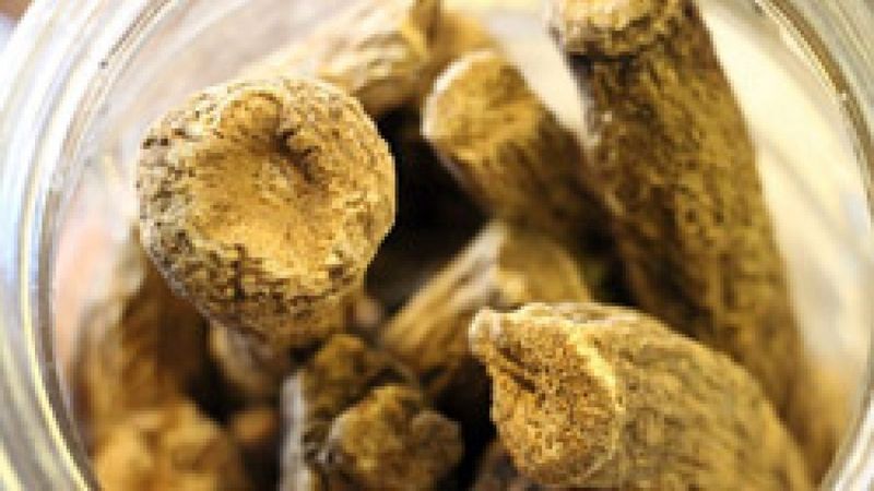 Dünyanın en güçlü doğal antibiyotiği: Udi hindi