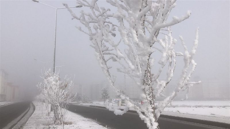 Kars'ta kırağı güzelliği