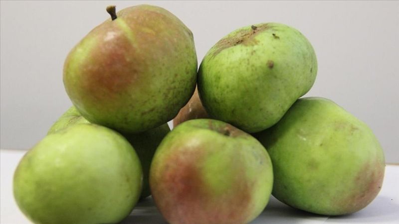 Trabzon'da 'Yomra elması' coğrafi işaret belgeli oldu