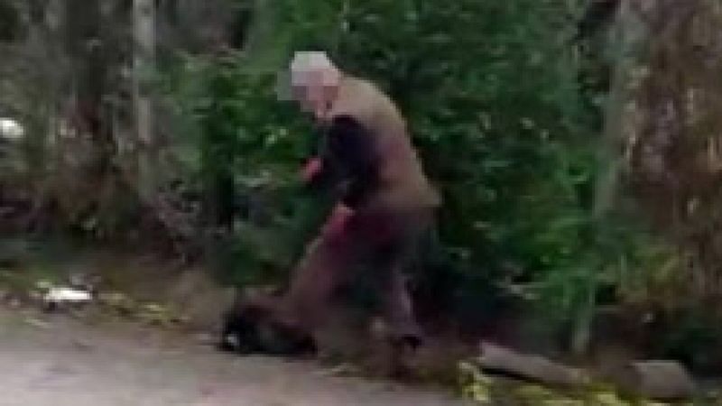 Sakarya'da genç kız, köpeğin üzerine bastığı için uyardığı komşusu tarafından darbedildi