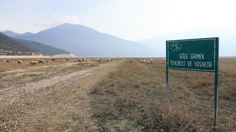 Antalya'da kuruyan Avlan Gölü, koyun ve keçi sürülerine kaldı