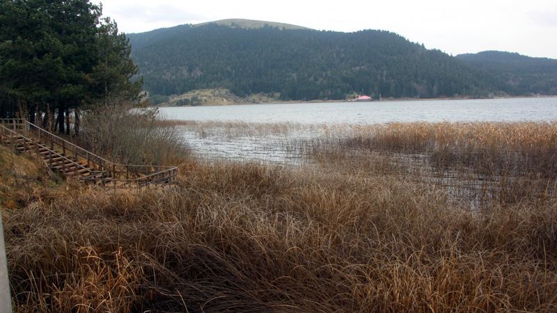 Abant ve Gölcük kar yağışına hasret kaldı