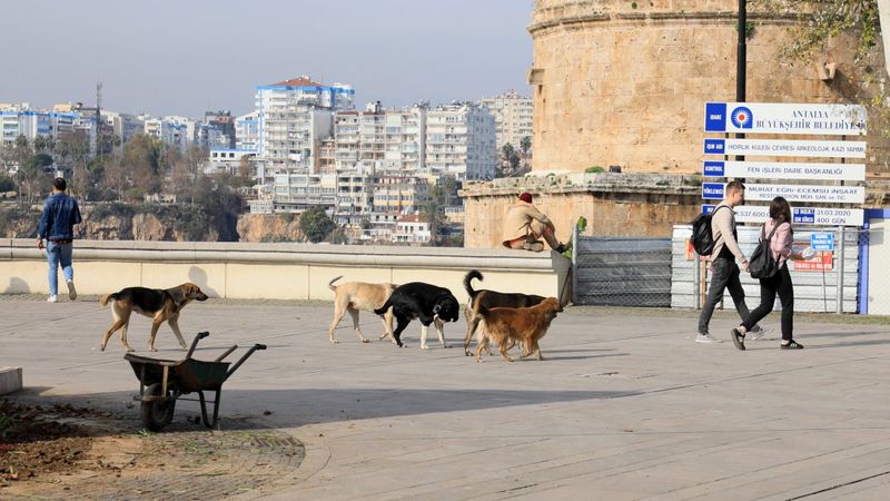 Antalya'da spor ve yürüyüş yapanların korkulu rüyası 'lastik çetesi'