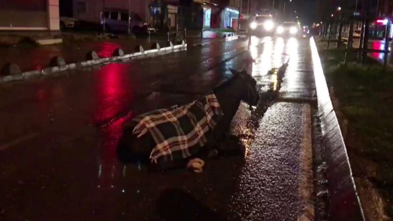 Arnavutköy’de minibüs ata çarptı