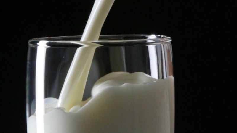 Samsun’da fare zehri katılan sütten içen iki çocuk ve anneleri zehirlendi