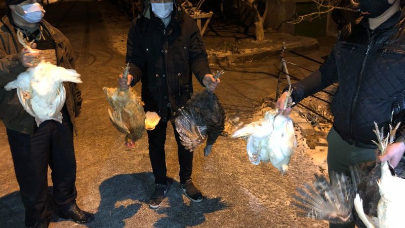 Konya'da şüphelinin sırtındaki çuvaldan çaldığı 10 tavuk çıktı