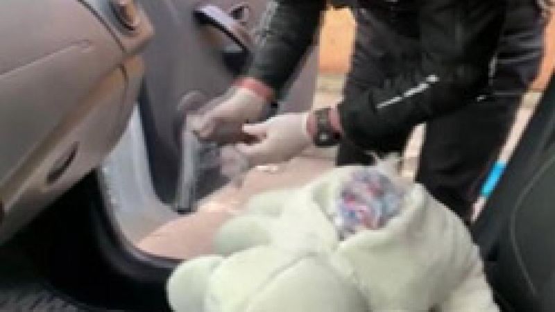 Ataşehir'de oyuncak ayı içinde silah bulundu