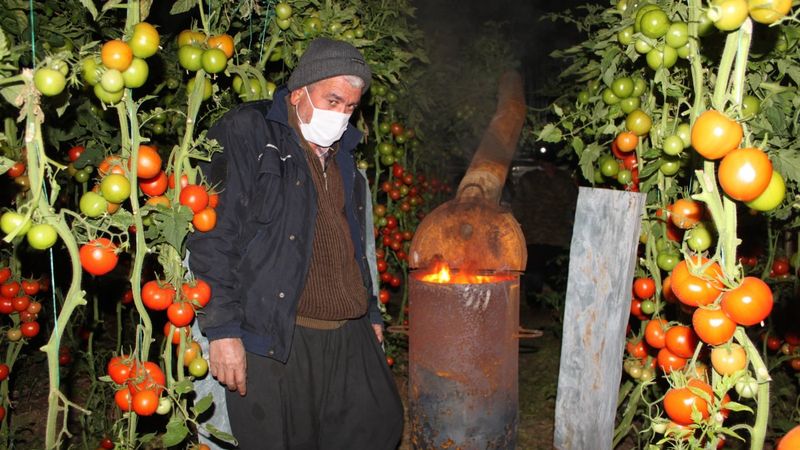 Meteoroloji uyardı, Mersin’de üreticiler zirai don nöbeti tuttu