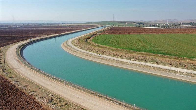 Şanlıurfa'da yağışlar çiftçiyi sevindirdi