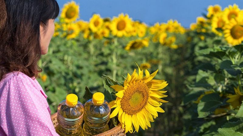 Ayçiçek yağına rekolte zammı