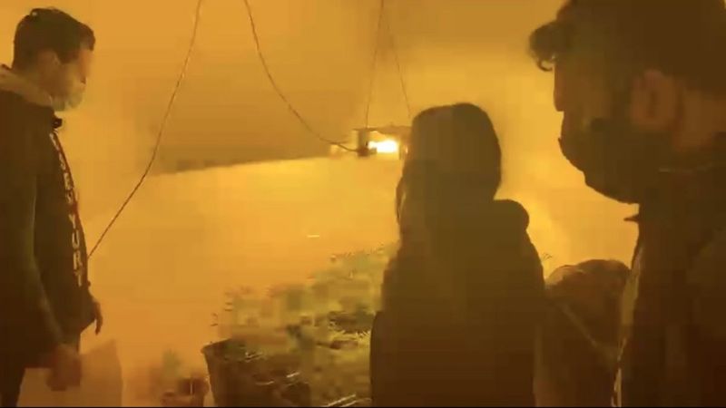 İstanbul'da uyuşturucu yetiştiren kadının şaşırtan savunması