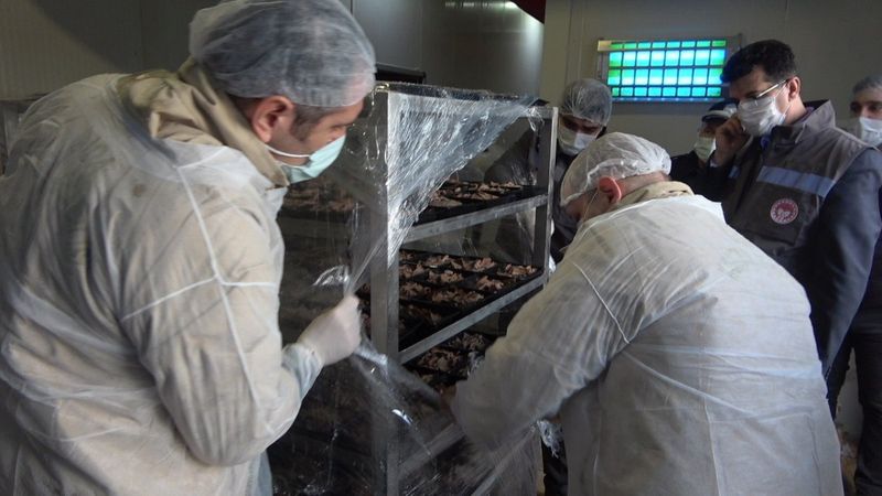 Kırklareli'nde ülkeyi ayağa kaldıran 100 kilo döner imha edildi