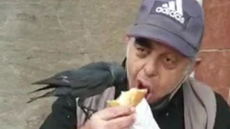 Kocaeli'de karga, dükkan önündeki kişinin dönerine ortak oldu