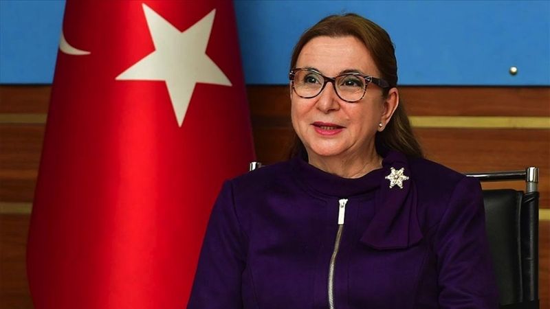 Ruhsar Pekcan: KOOP-DES kapsamındaki hibe desteği 2021 yılında da devam edecek