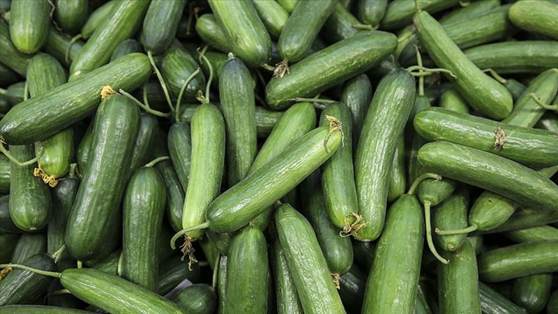 Ocak ayında en çok salatalık zamlandı