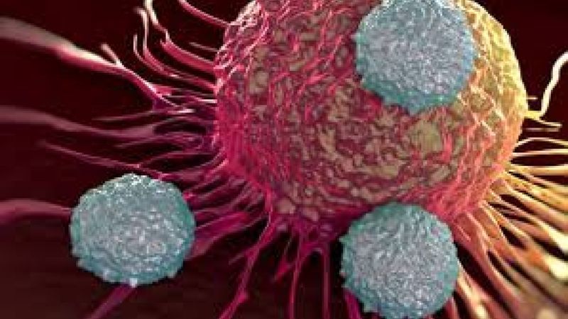 4 Şubat Dünya Kanser Günü! Kanser nedir? Kanserin belirtileri ve çeşitleri nelerdir?