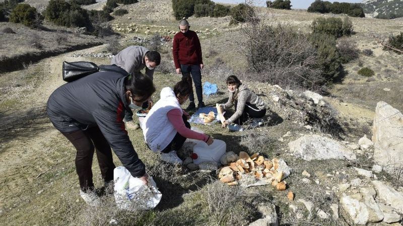 Burdur'da, yemek kazanları sokak hayvanları için kaynadı