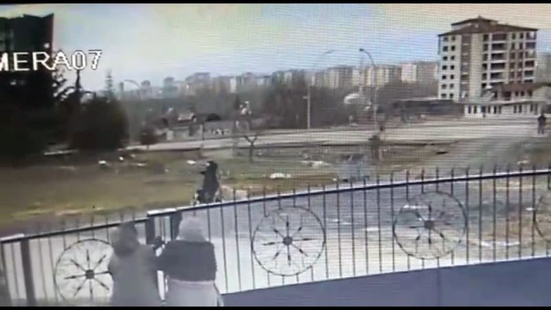 Malatya’da 8 sokak köpeği kadına saldırdı