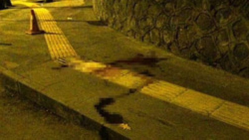 Diyarbakır’da genç kadın sokak ortasında sırtından vuruldu