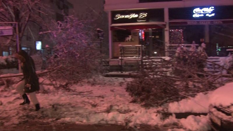 Anadolu Yakası'ndaki kar yağışı ağaçları devirdi