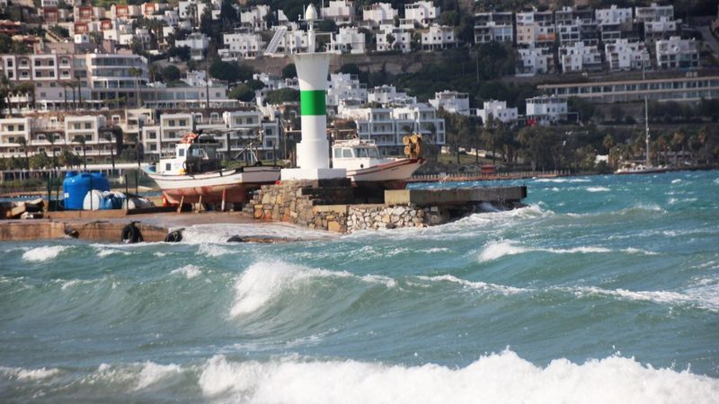 Muğla'da etkili olan fırtına, ağaçları devirip tekneleri batırdı