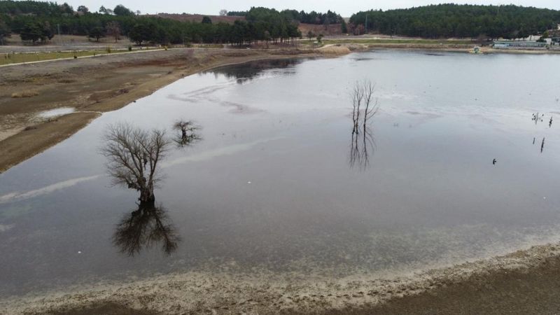 Türkiye'nin iklim değişikliğiyle yeni mücadele hedefleri yarın açıklanacak