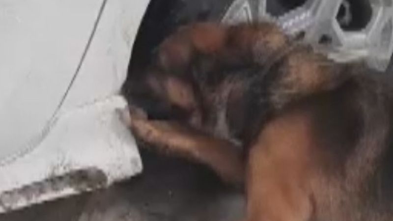 Konya'da otomobilin çamurluğuna gizlenmiş eroin bulundu