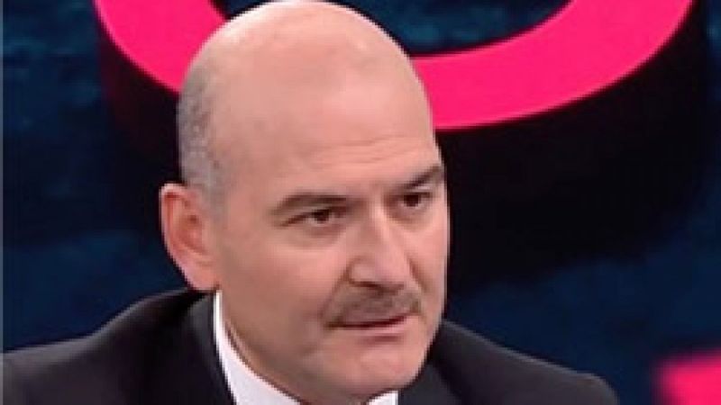 Bakan Soylu: Gara'ya giden HDP Ağrı Milletvekili Dirayet Dilan Taşdemir