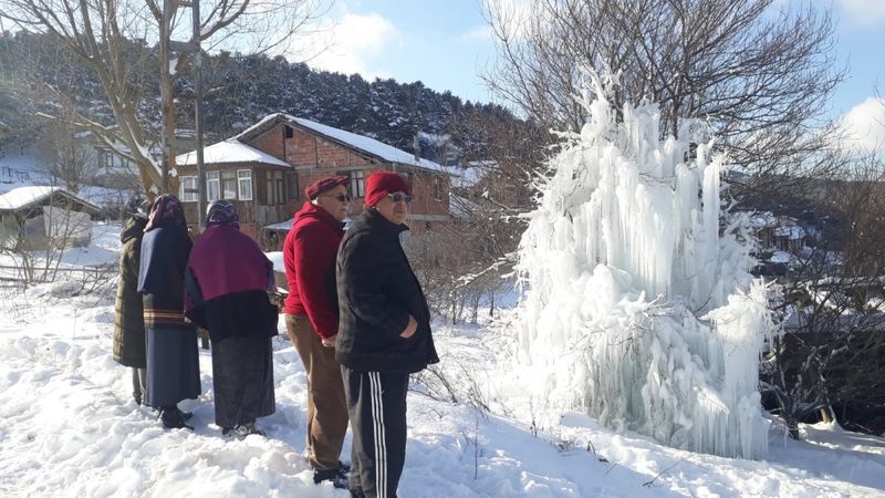 Tokat'ta patlayan su borusu ağaca dönüştü